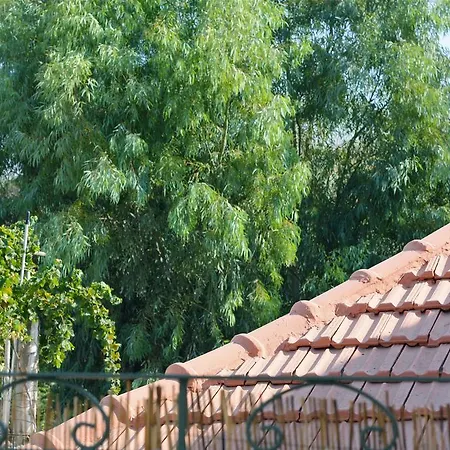 Casa Flora Old Town *